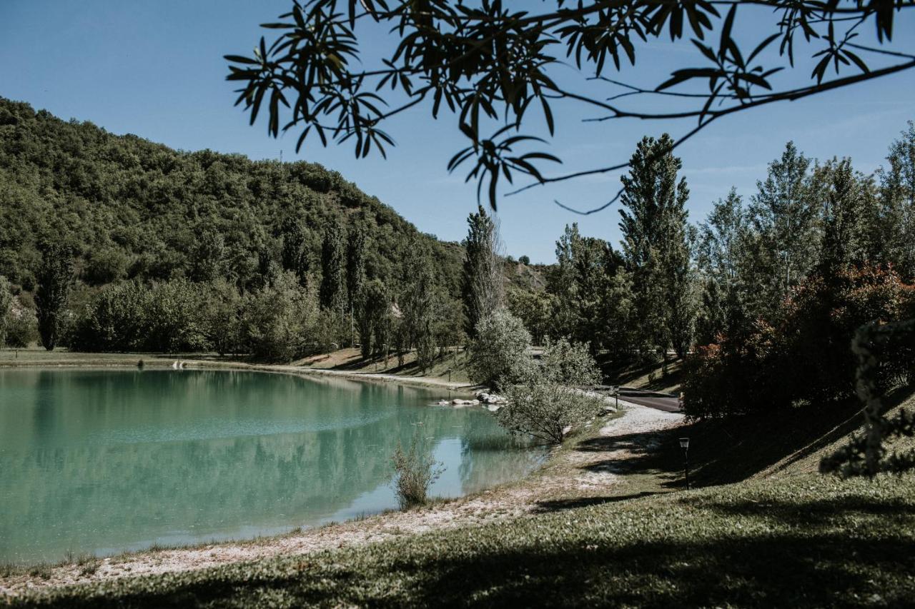 Bed and Breakfast L'Anfora Country Club à Basciano Extérieur photo