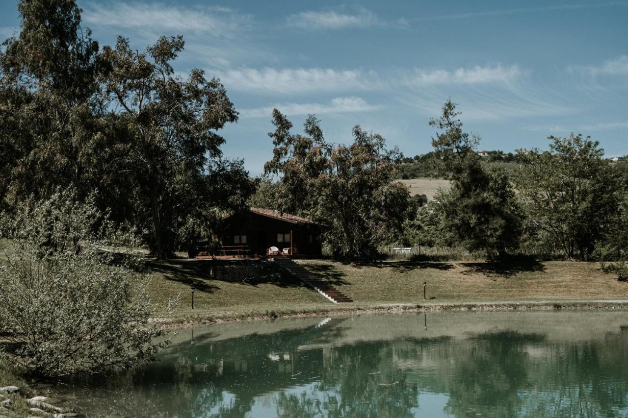 Bed and Breakfast L'Anfora Country Club à Basciano Extérieur photo