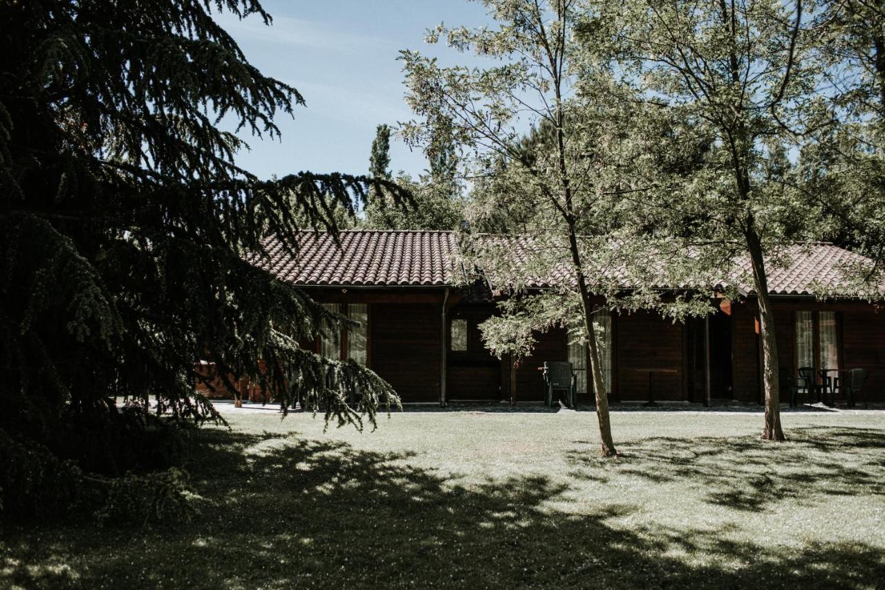 Bed and Breakfast L'Anfora Country Club à Basciano Extérieur photo